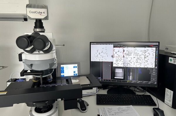 Genetische Diagnostik